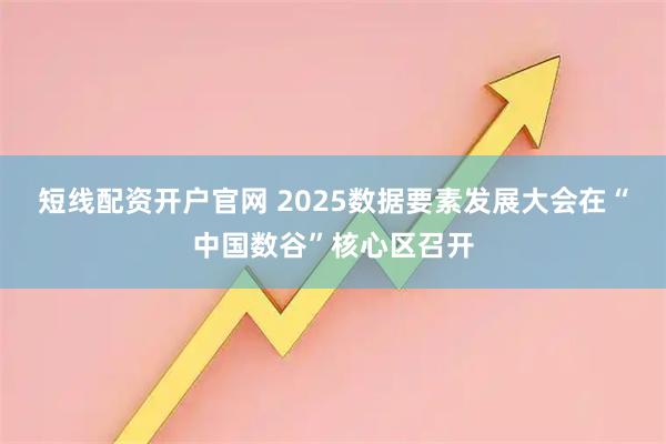 短线配资开户官网 2025数据要素发展大会在“中国数谷”核心区召开