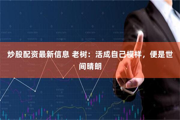 炒股配资最新信息 老树：活成自己模样，便是世间晴朗
