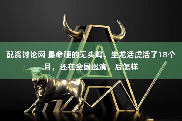 配资讨论网 最命硬的无头鸡，生龙活虎活了18个月，还在全国巡演，后怎样